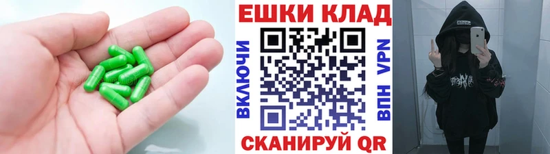 OMG   наркотики  Железноводск  Ecstasy Philipp Plein 