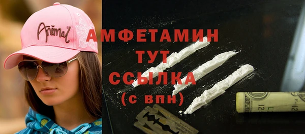 прущая мука Дмитриев