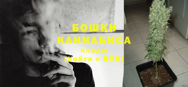 гидра Гусев