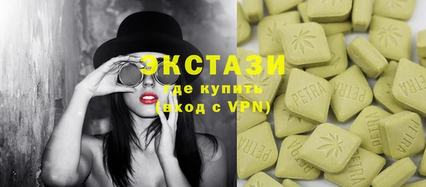 гидра Гусев