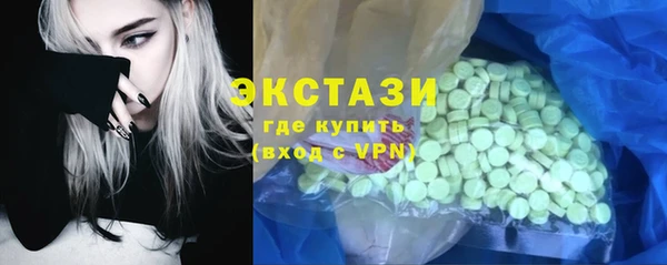 гидра Гусев