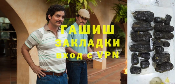 гидра Гусев