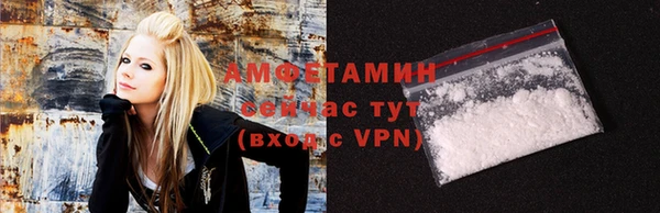 гидра Гусев