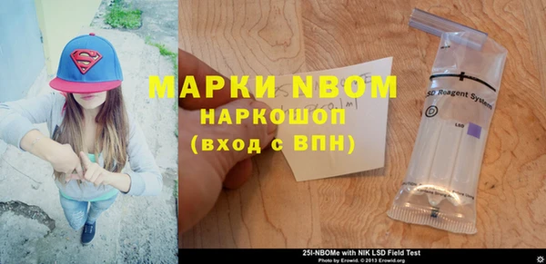гидра Гусев